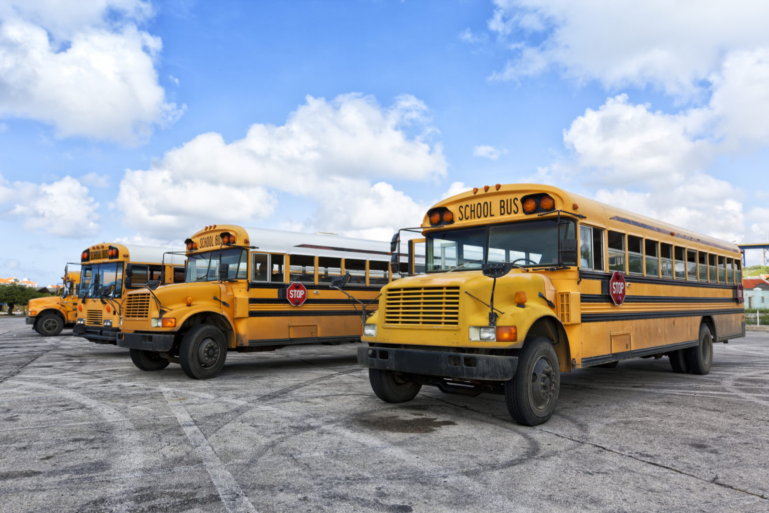 Photo: Fleet of four school buses