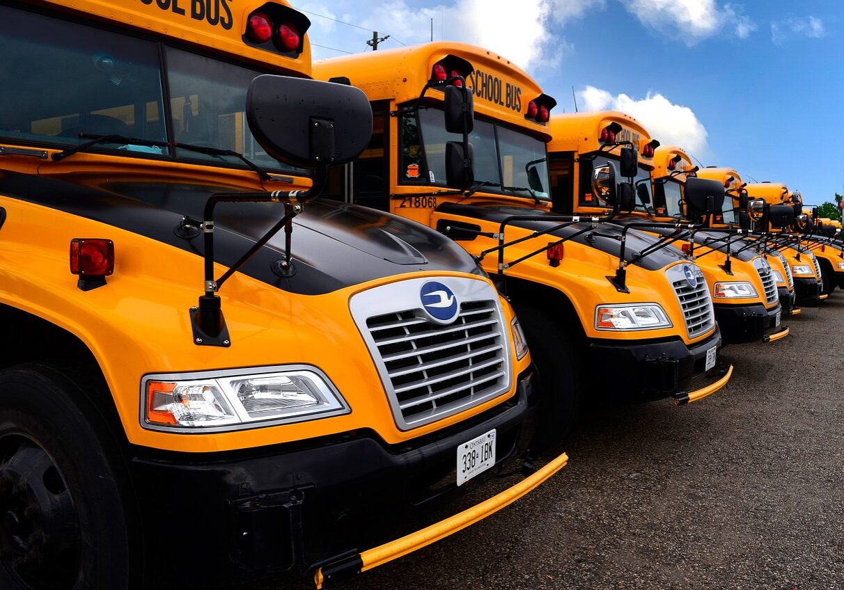 school bus, transportation, vehicle, school, engine, automobile, school bus, school bus, school bus, school bus, school bus